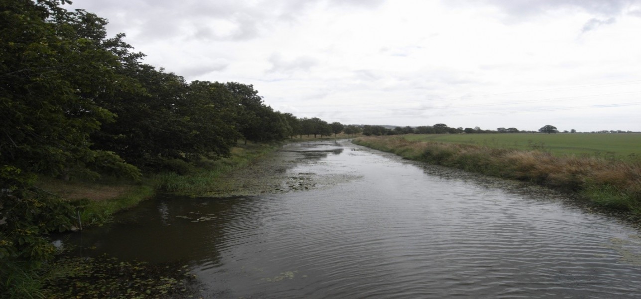 Marsh Environmental - Royal Military Canal 