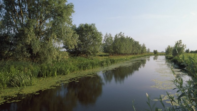 Marsh Environmental - Phase 1 Survey | Ecological Survey